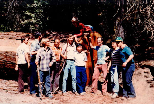MFT team redwoods 1980